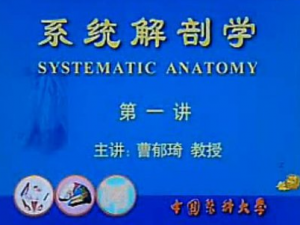 系統(tǒng)解剖學