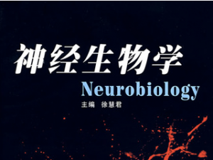 神經(jīng)生物學