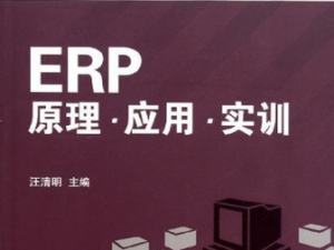 ERP原理與實(shí)施