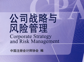 公司戰(zhàn)略與風(fēng)險管理