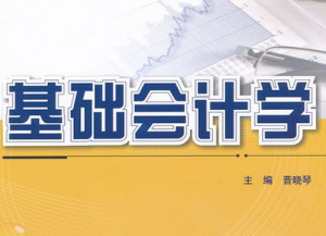 基礎(chǔ)會計(jì)學(xué)