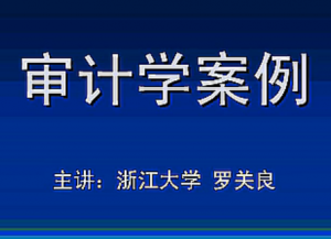審計(jì)學(xué)案例